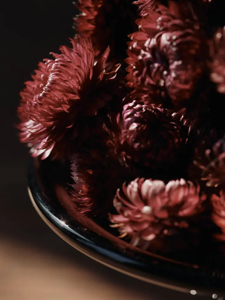 Damo Glass Centrepiece - Small - Dark Grape
