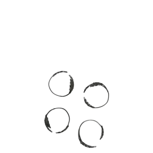 Holly Leaf Napkin Rings - Set 4 - Black Brass Ferm Living - DK