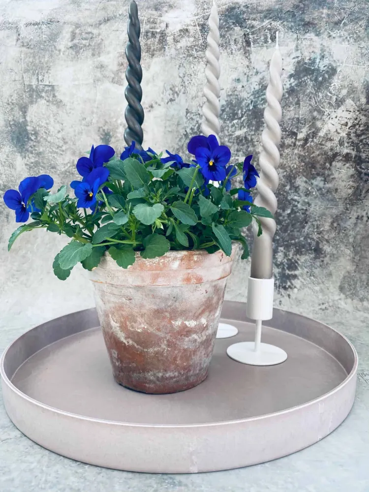 Bakke - Duset Rosa / Beton look - Stor