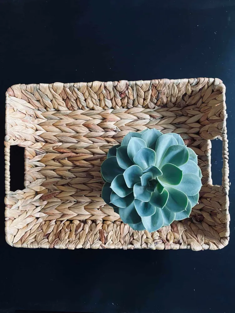 Bakke i Naturflet - Stor