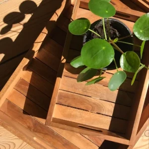 Teak bakke (stor)