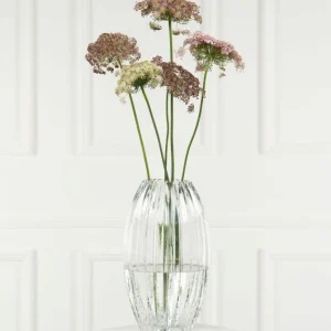 Dekorativ Vase Glas Cane Klar Ø16x8x28cm