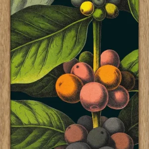 Coffee Details. Pocket Print 15x21
