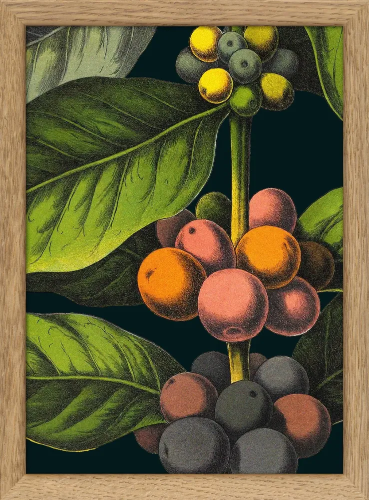 Coffee Details. Pocket Print 15x21