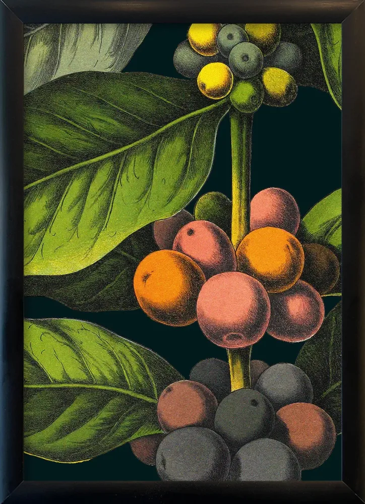 Coffee Details. Pocket Print 15x21