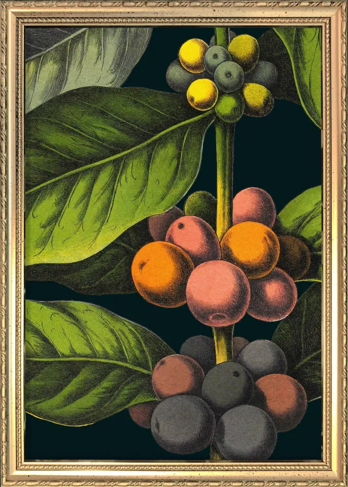 Coffee Details. Pocket Print 15x21