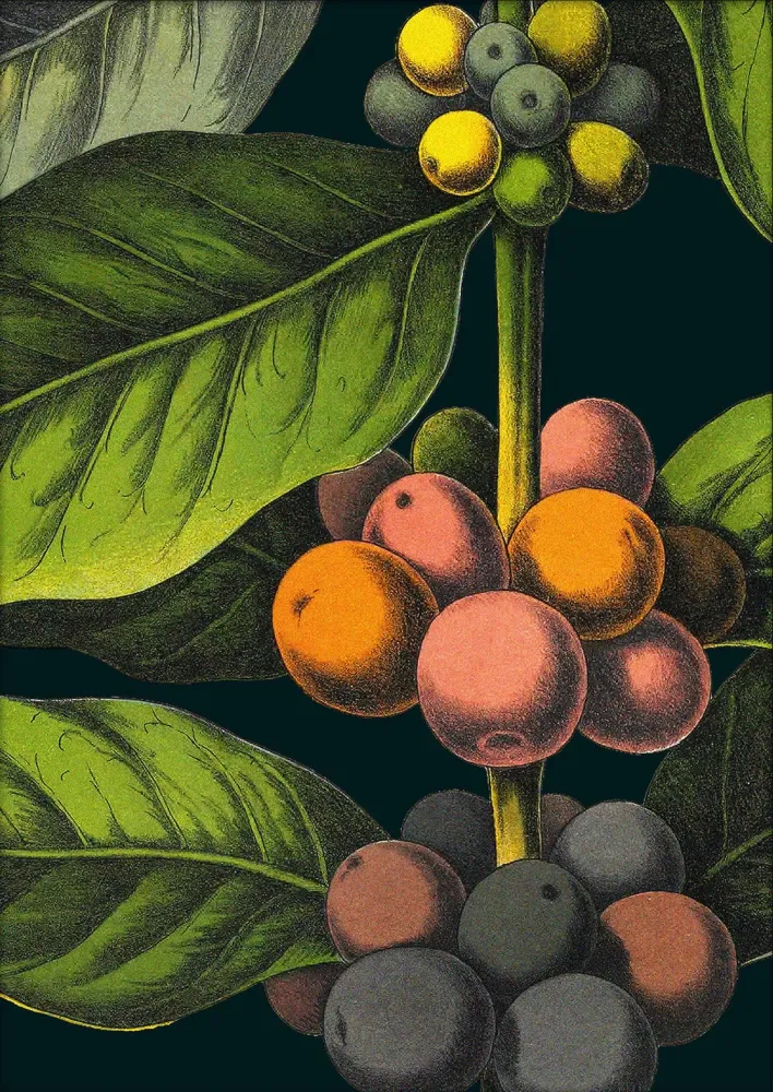 Coffee Details. Pocket Print 15x21