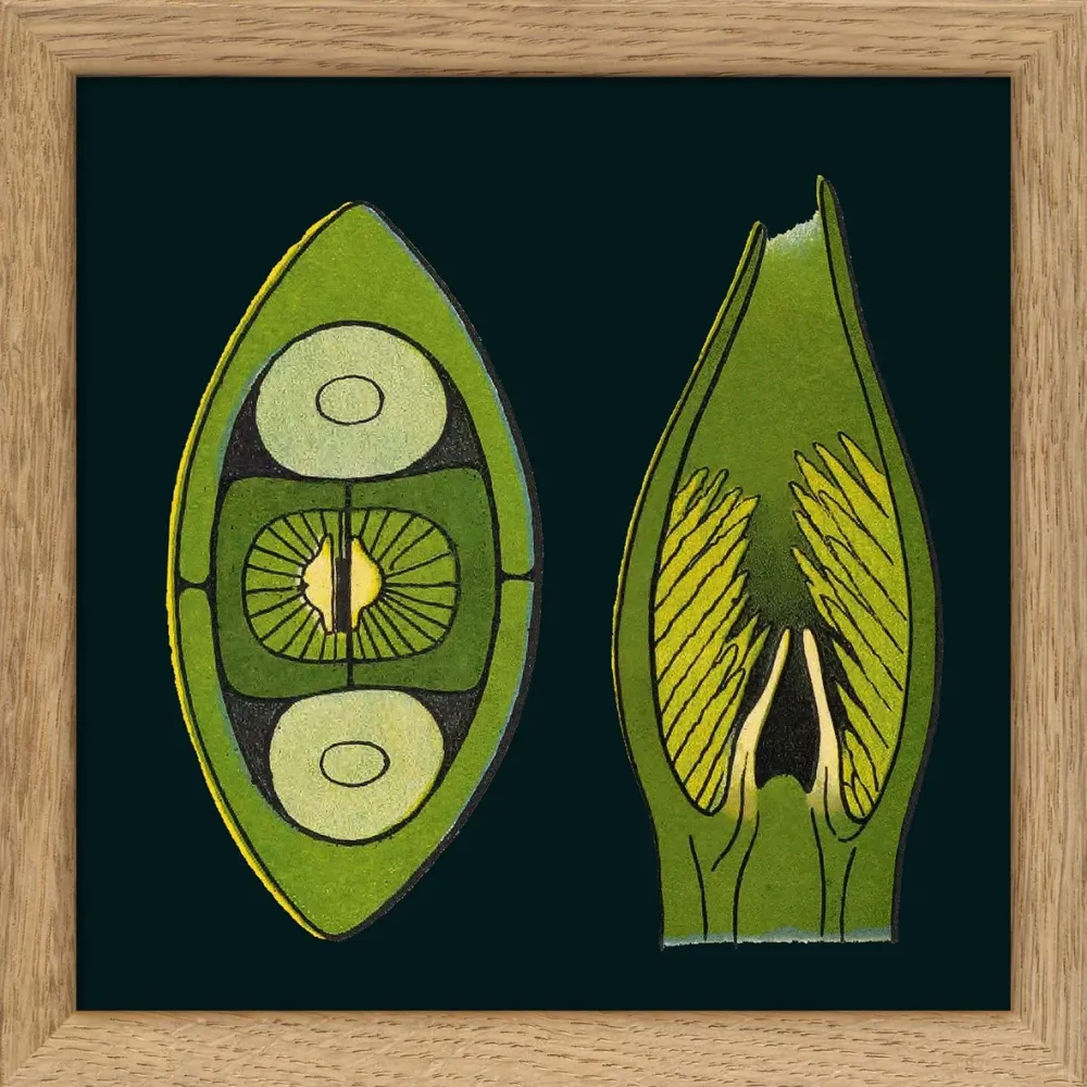 Spare Coffee Bean Details. Travel Print 15x15