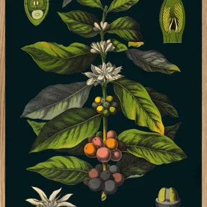 Coffee 30x40
