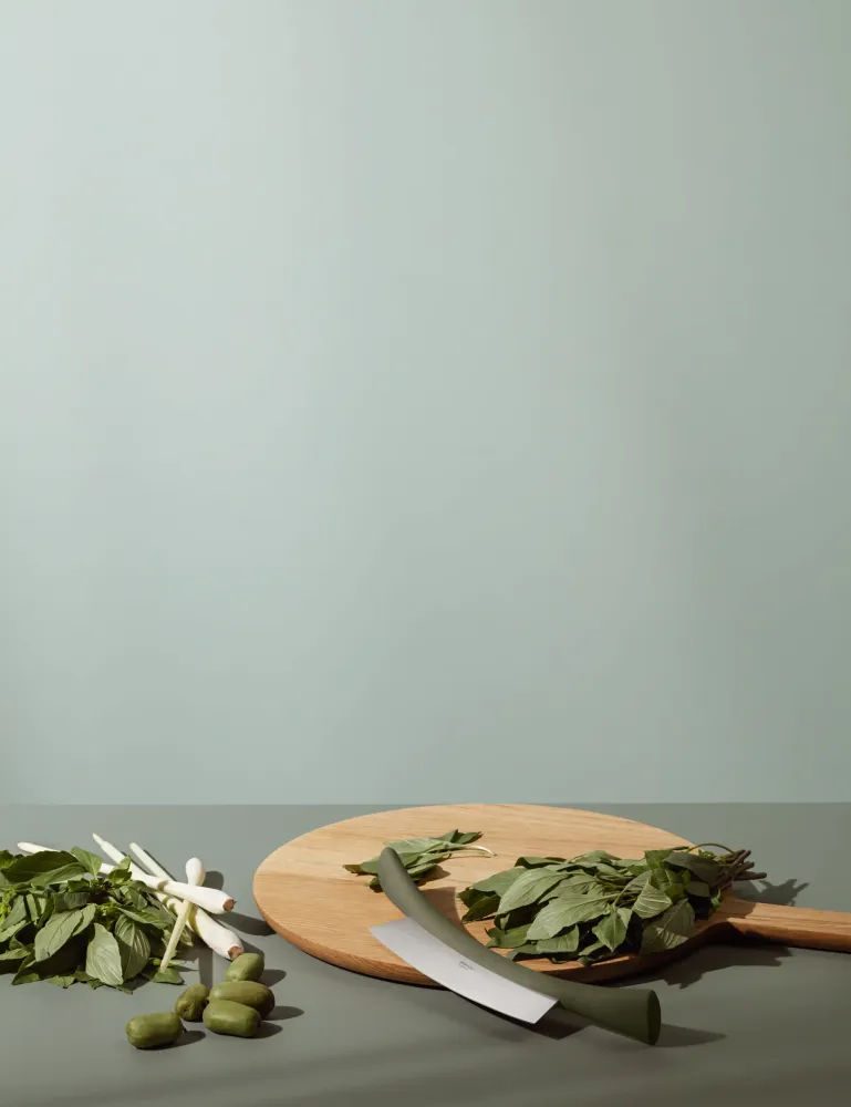 Garlic Press Eva Solo - Emerald Tool vuggekniv