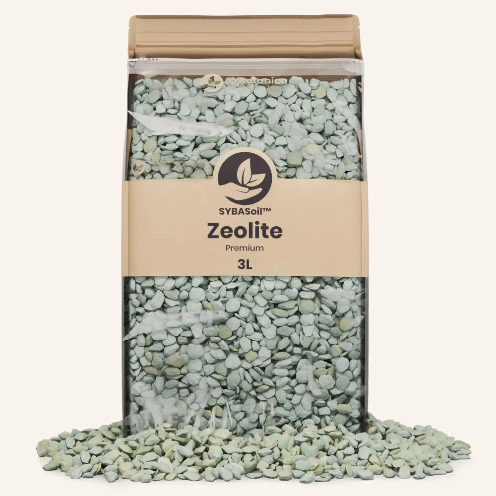 Zeolit