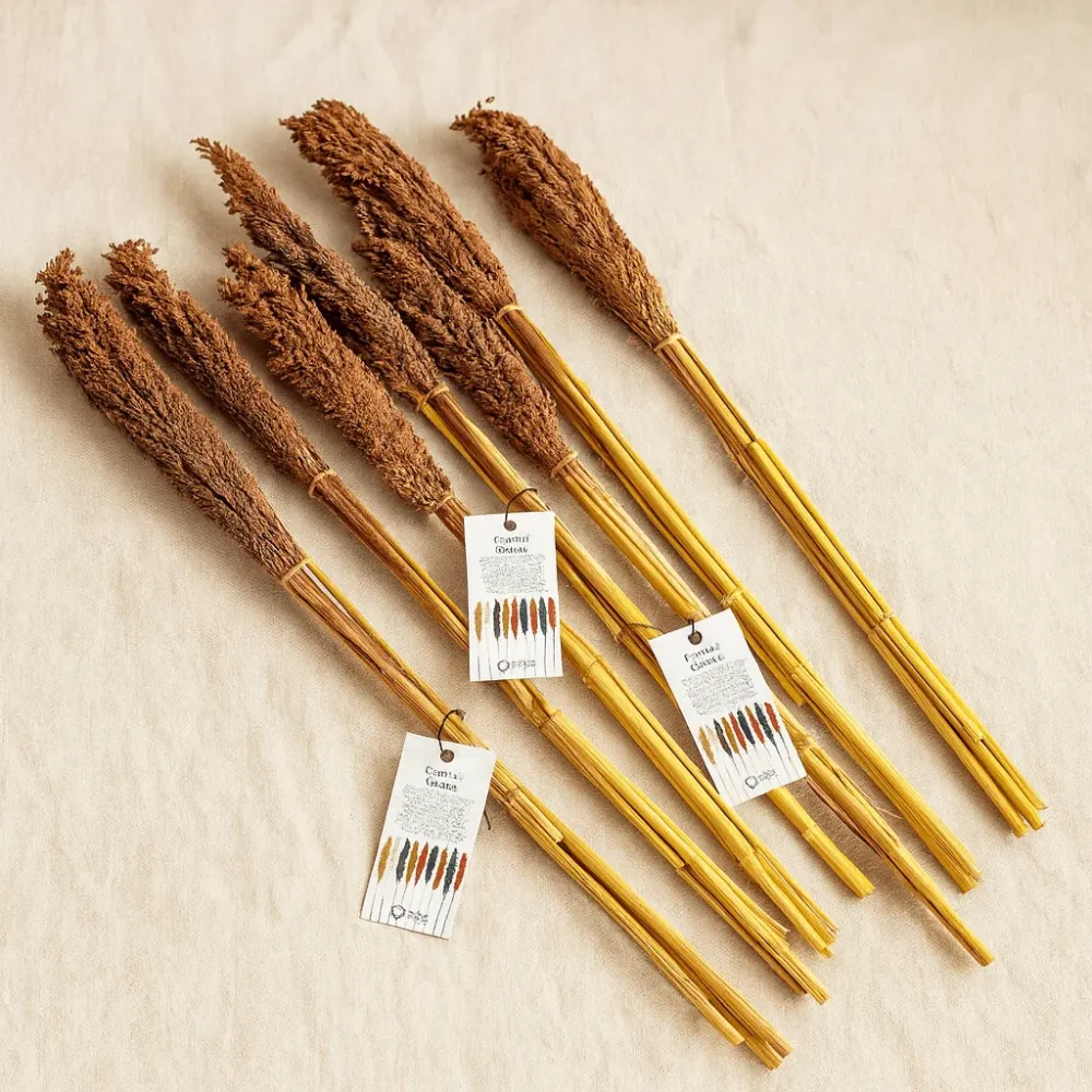 Cantal Grass Bunch Chokolade – Sæt med 6