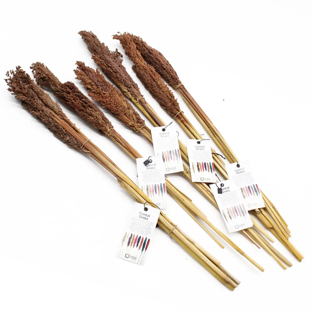 Cantal Grass Bunch Chokolade – Sæt med 6