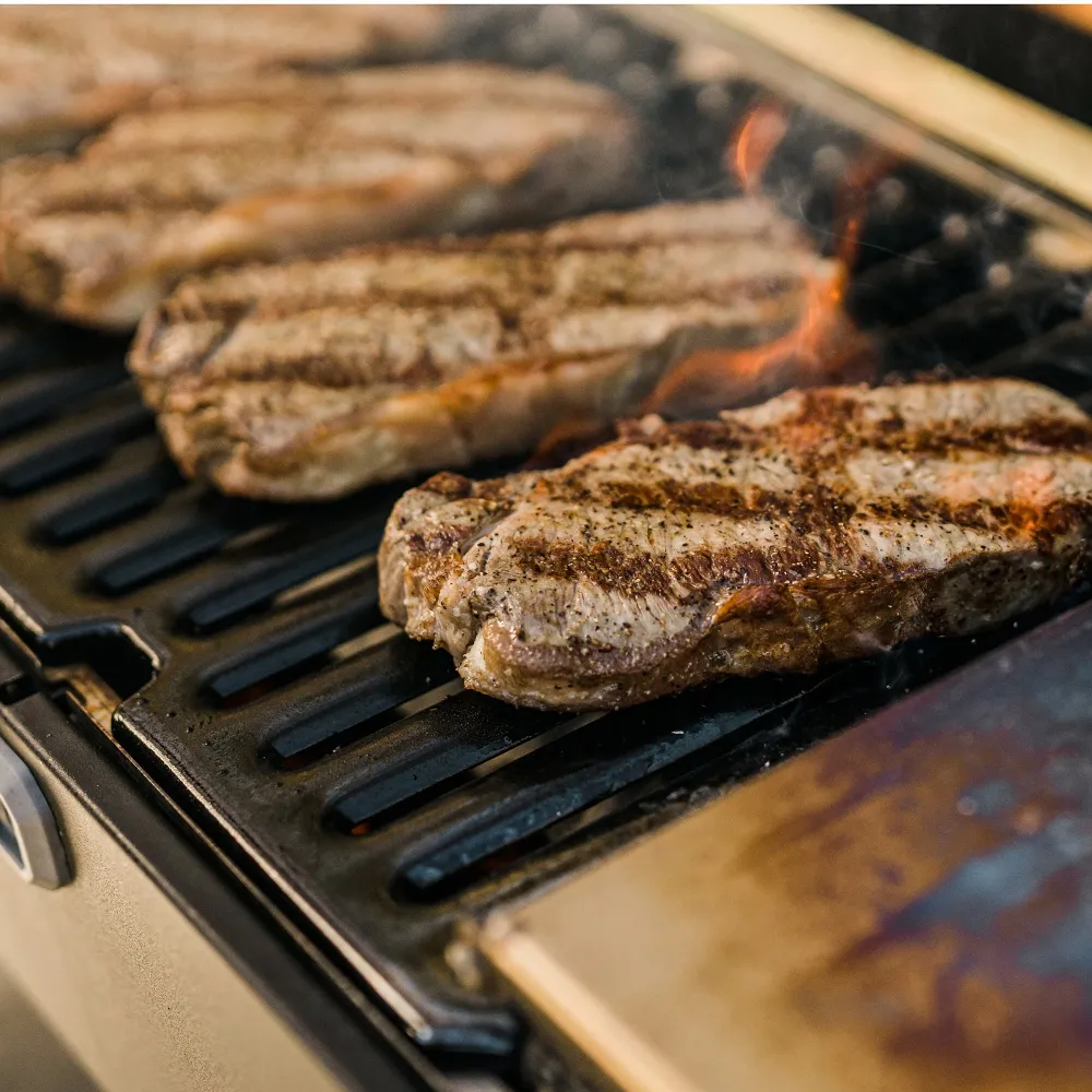 Bærbar kulgrill og rygeovn