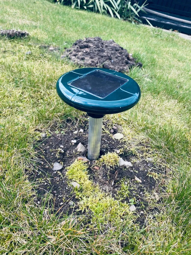 Muldvarpe afskrækker med solceller - Grøn