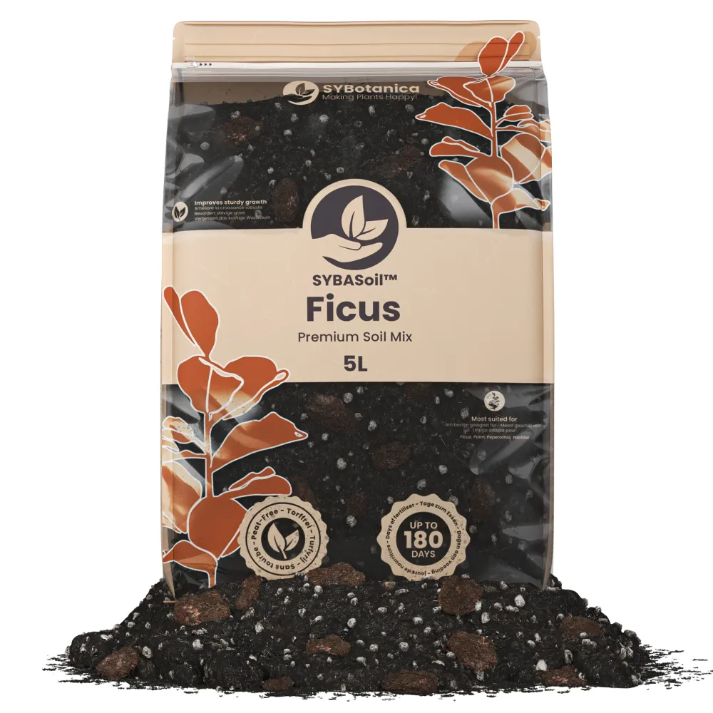 Ficus jord (5 L)