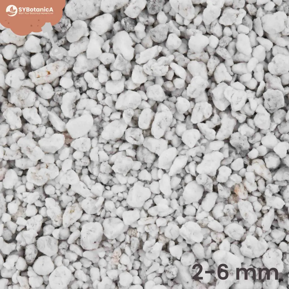 Perlite (3 liter) | 2-6 mm