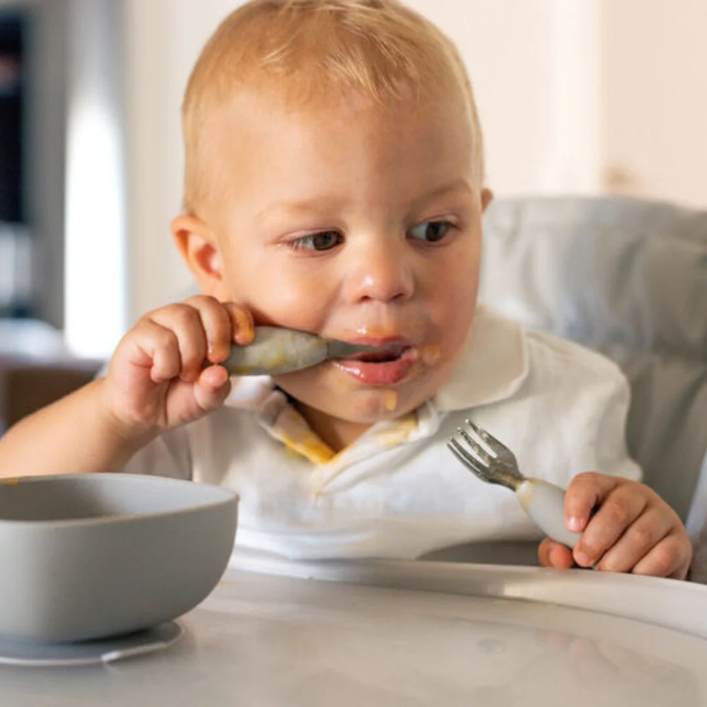 Beaba Rustfrit stål babybestik Velvet grå