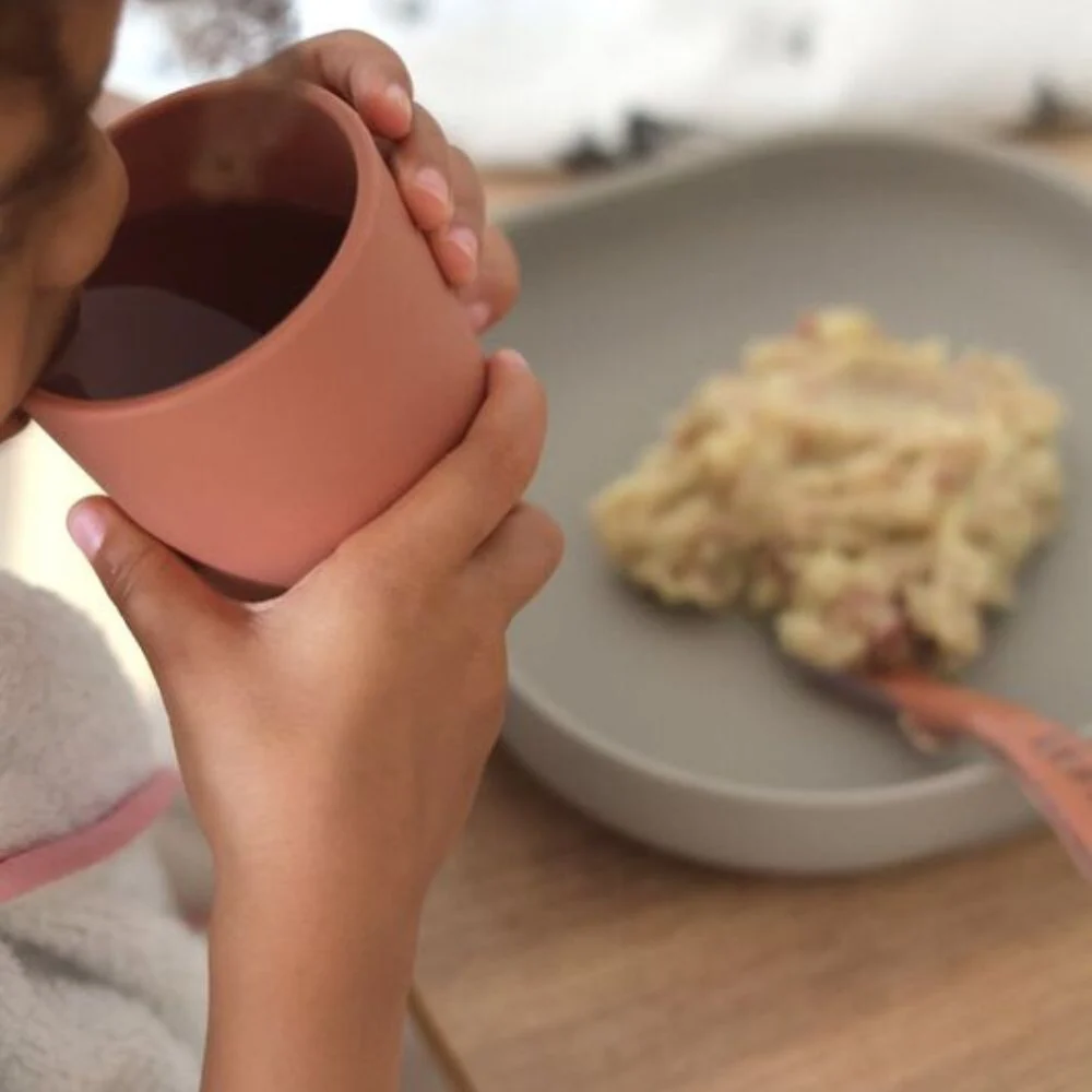 Beaba Silikone babysæt med sugekop Terracotta