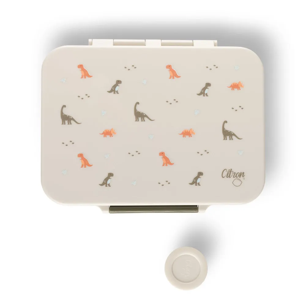 Citron Baby LunchBox Rektangulær Dino