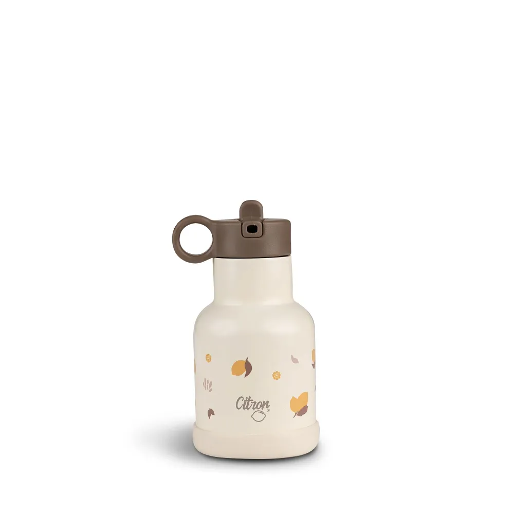 Citron rustfri stål termoflaske 250 ml