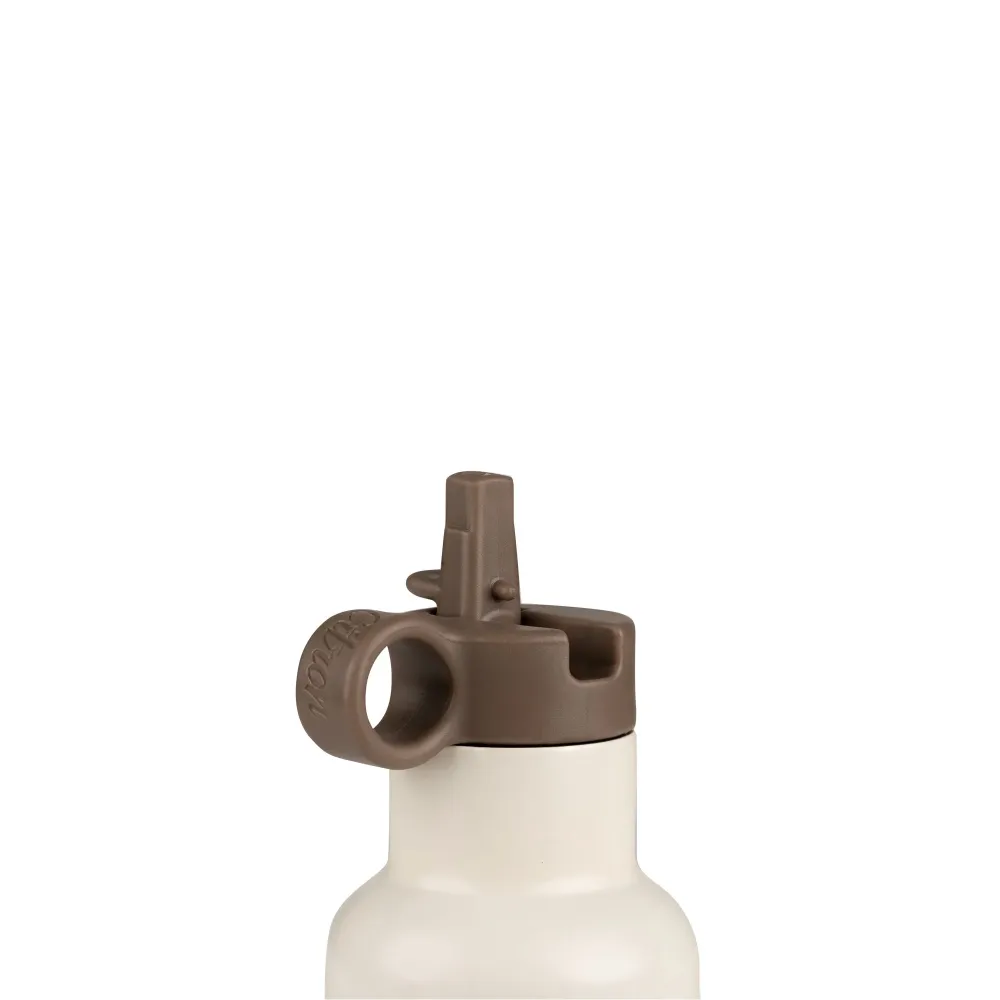 Citron rustfri stål termoflaske 250 ml