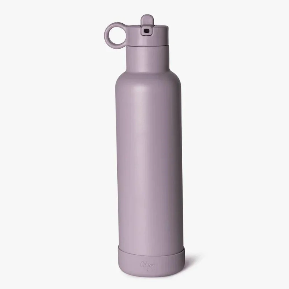 Citron Termoflaske i rustfrit stål 750 ml Lilla