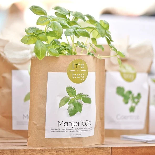 GROW BAG OREGANO