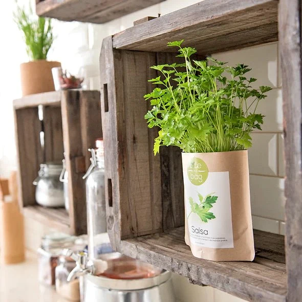 GROW BAG OREGANO