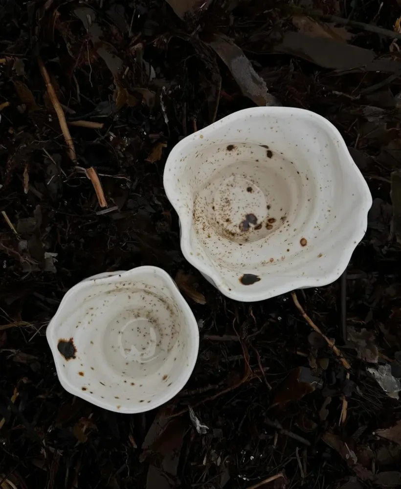 Ællingen - Espressokop
