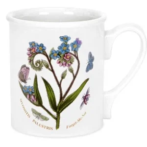Myosotis Palustris Forget-Me-Not Krus