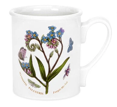 Myosotis Palustris Forget-Me-Not Krus