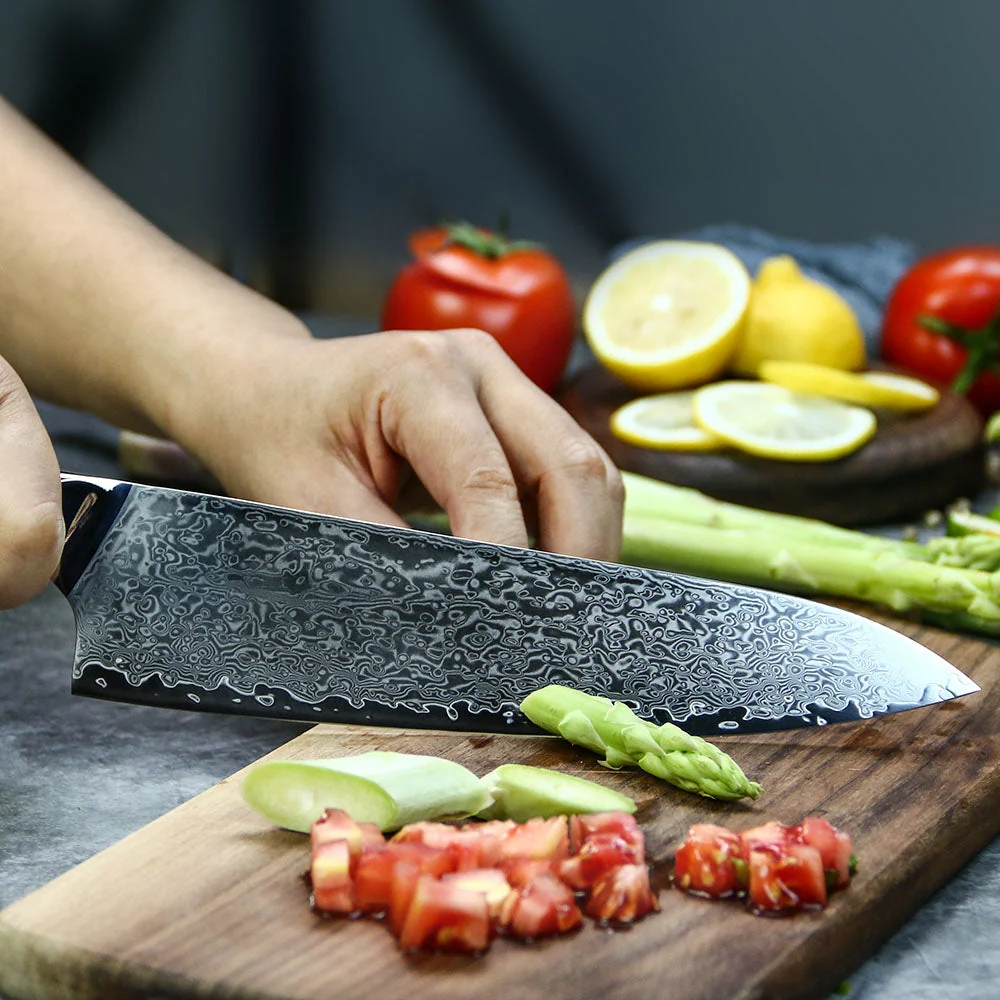 Professionel kokkekniv C19, Damaskus stål 67 lag