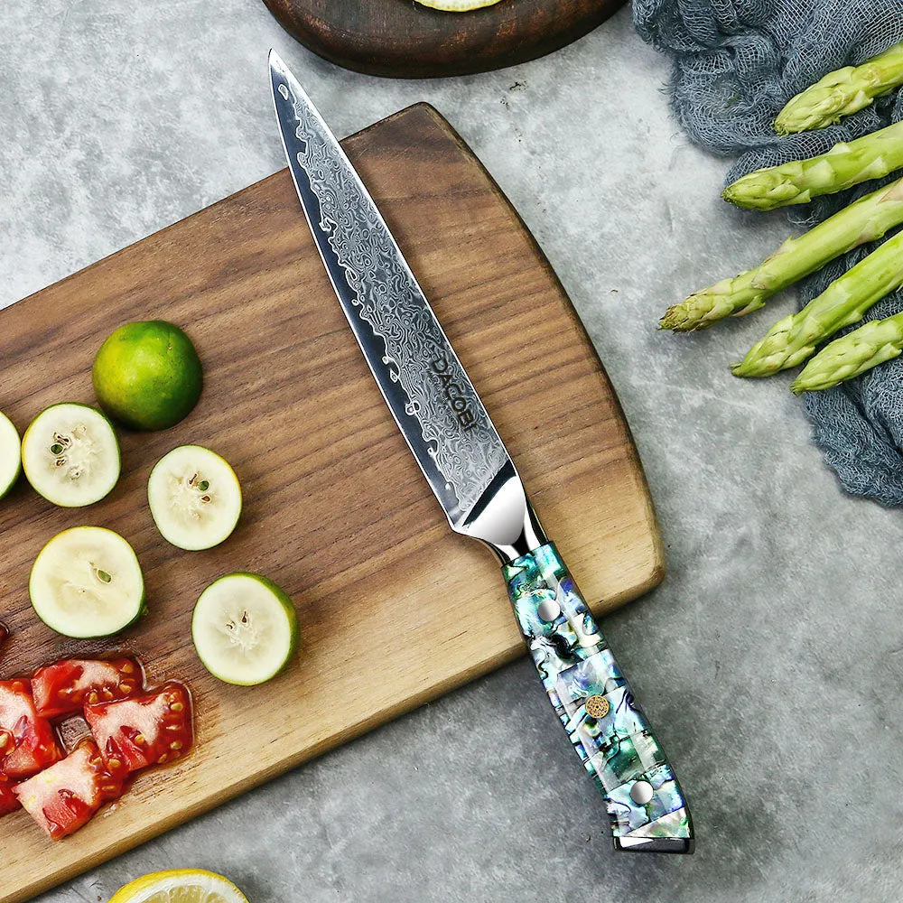 Professionel universalkniv C20, Damaskus stål 67 lag
