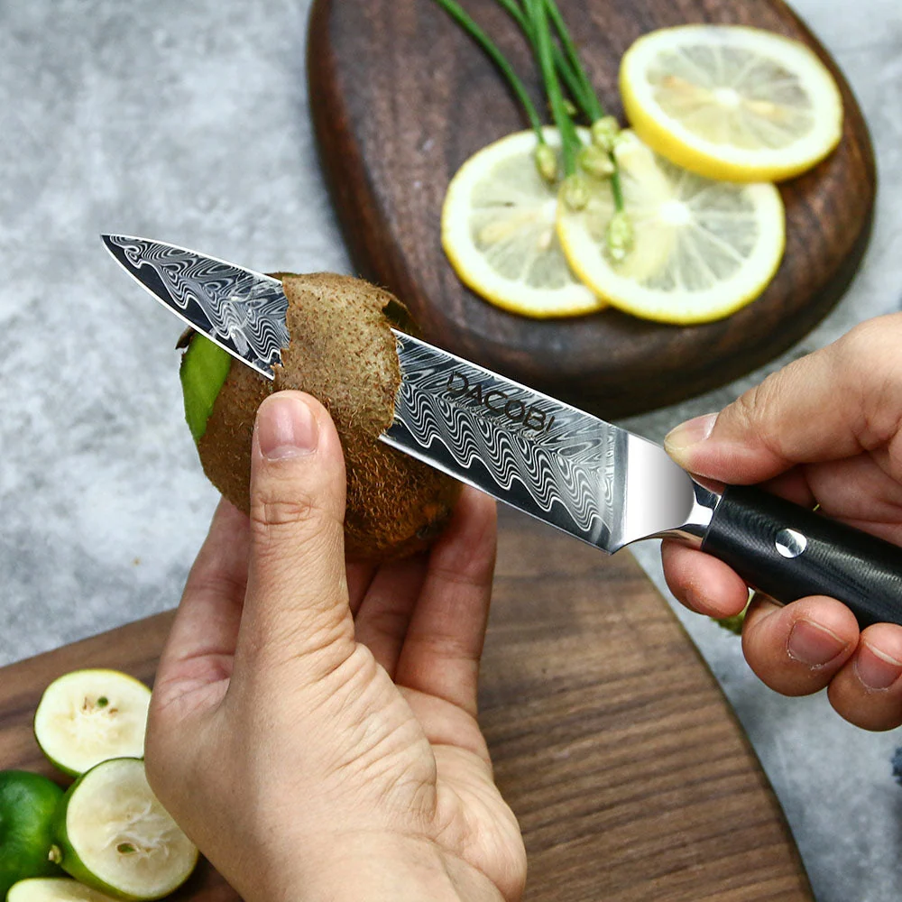 Professionel universalkniv C27, Damaskus stål 67 lag