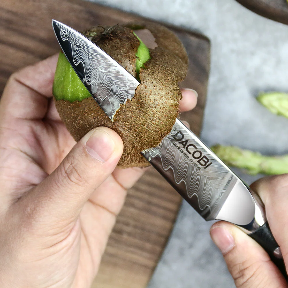Professionel universalkniv C27, Damaskus stål 67 lag