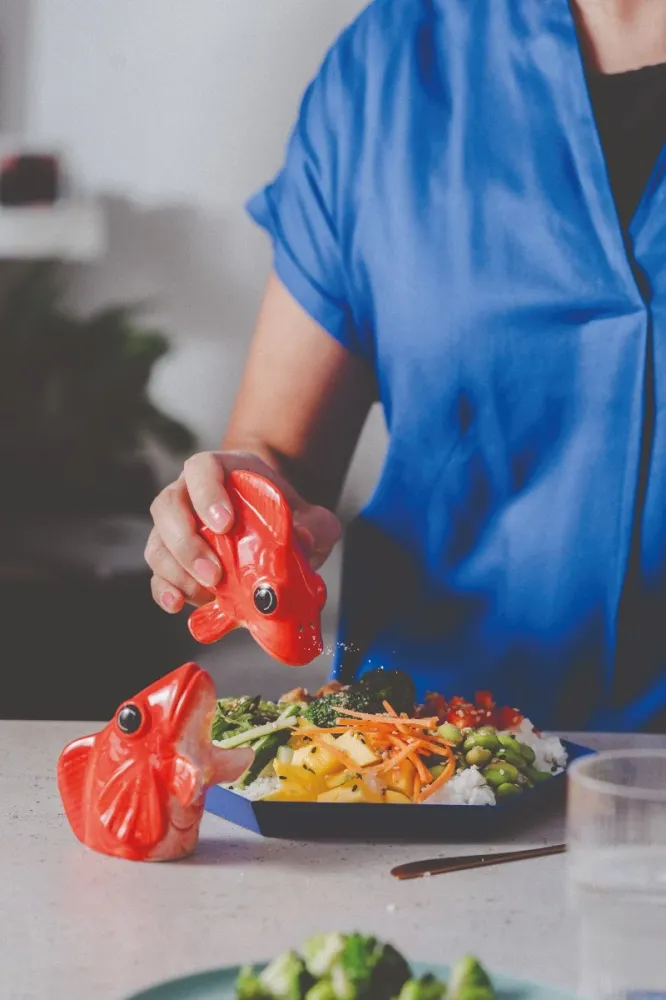Salt- og peber dispenser, fishes dishes - rød