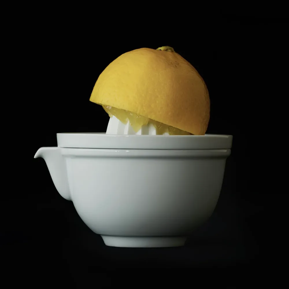 Juicer No.3 (ジューサーNo.3) Shiratake Gama