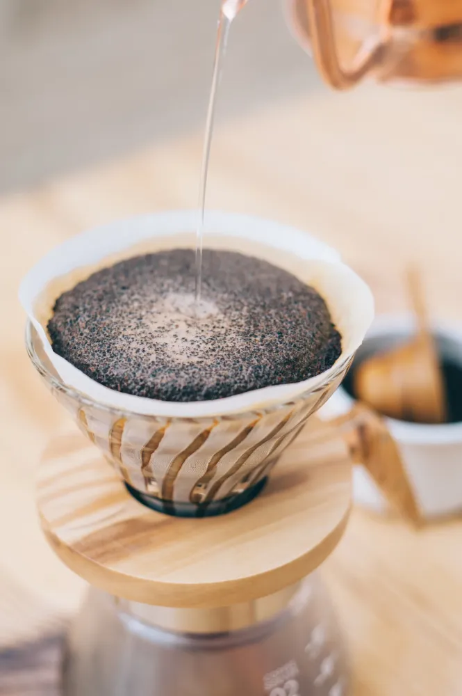 V60 Glass 02 Dripper - Oliventræ