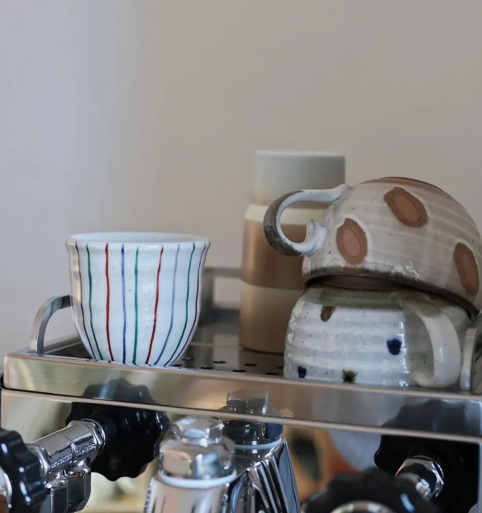 Japansk cappucinokop med store pletter