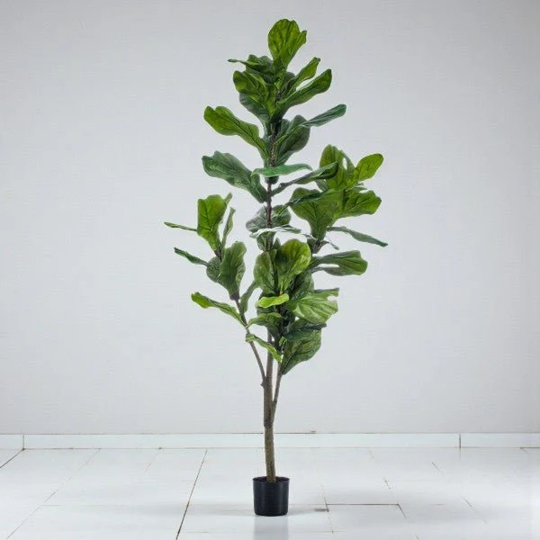 Ficus Lyrata kunstig h150cm