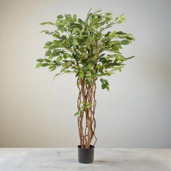 Kunstig Ficus liane h140cm