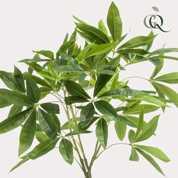 Pachira aquatica kunstig h90cm