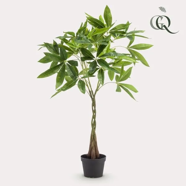 Pachira aquatica kunstig h90cm