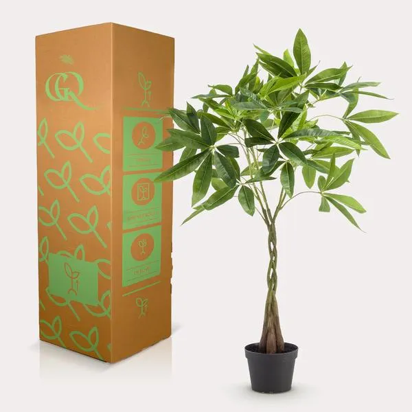 Pachira aquatica kunstig h90cm