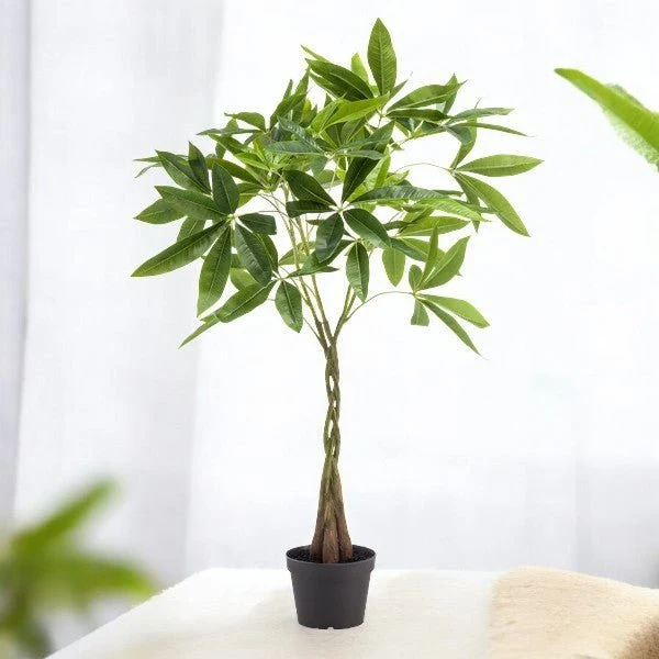 Pachira aquatica kunstig h90cm
