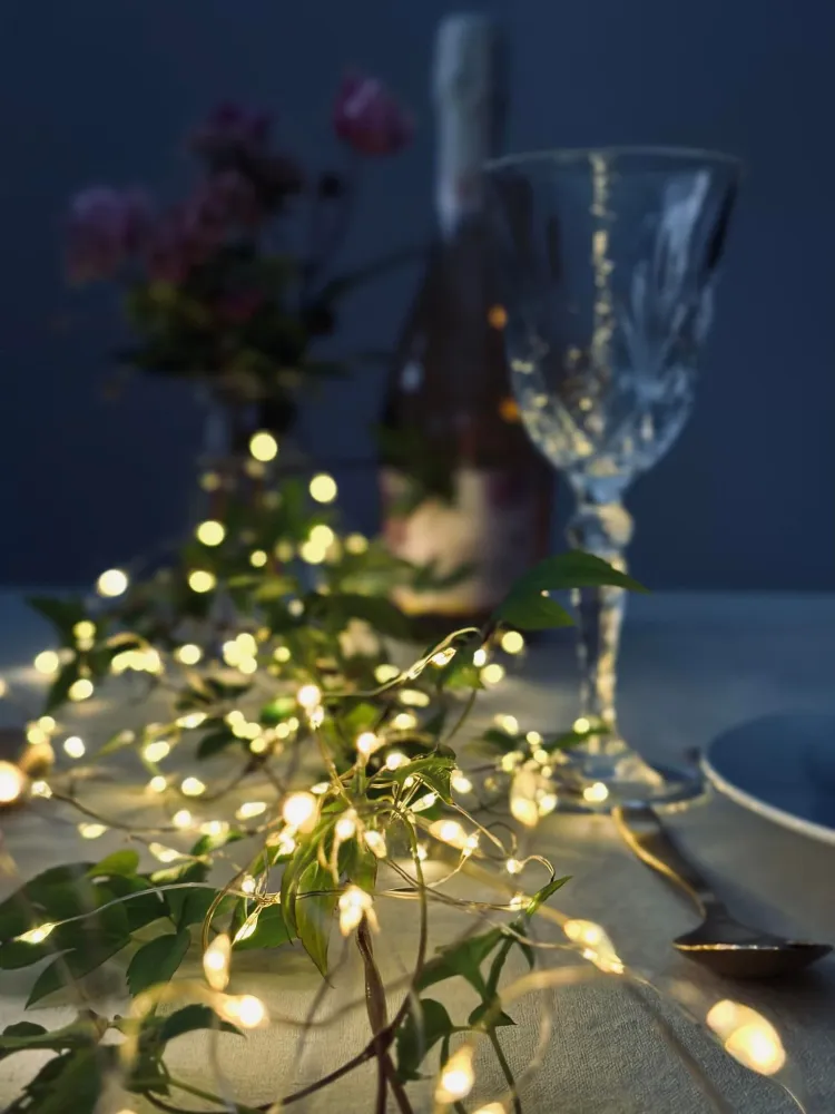 Lyskæde gennemsigtig wire med 100 LED Lys