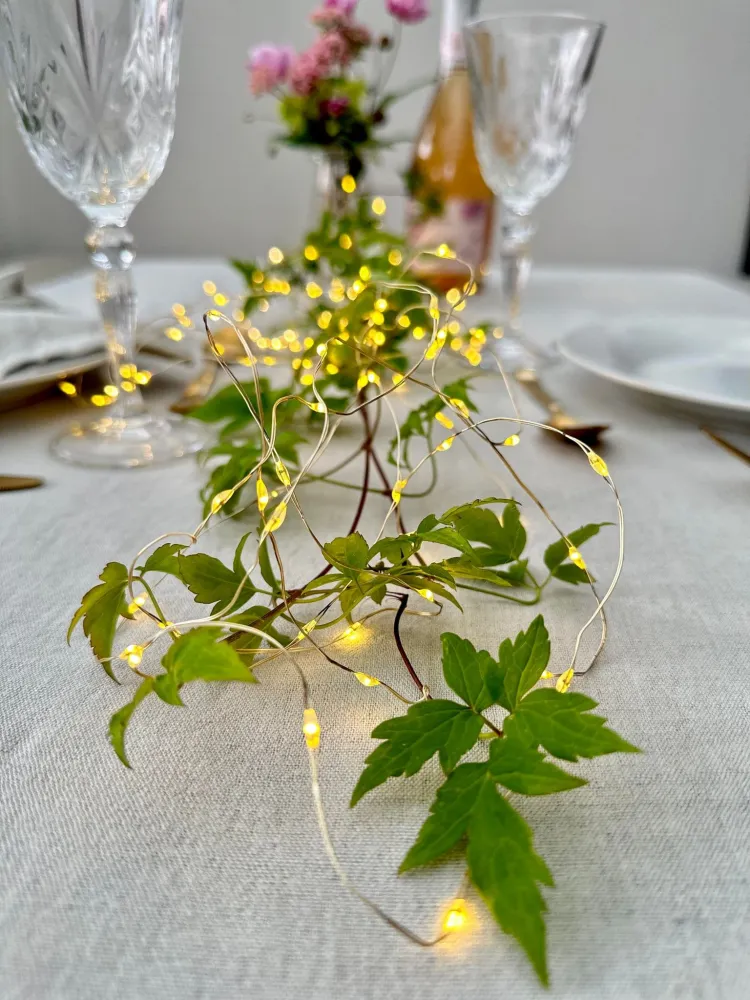 Lyskæde gennemsigtig wire med 100 LED Lys