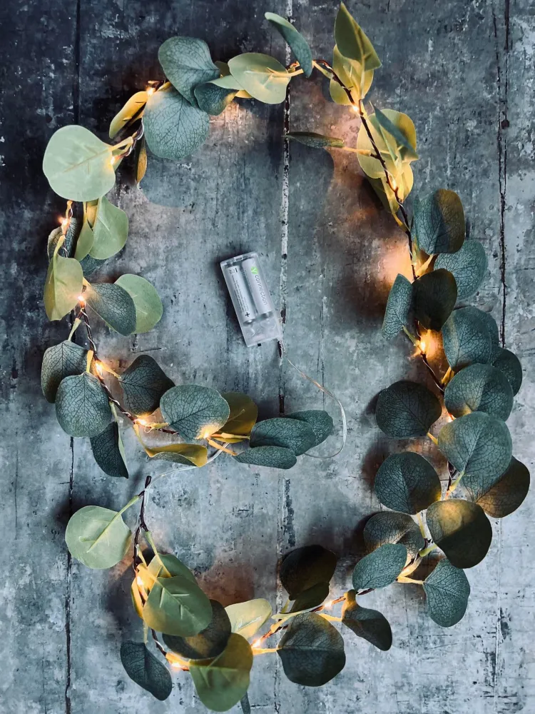 Lyskæde med eucalyptus