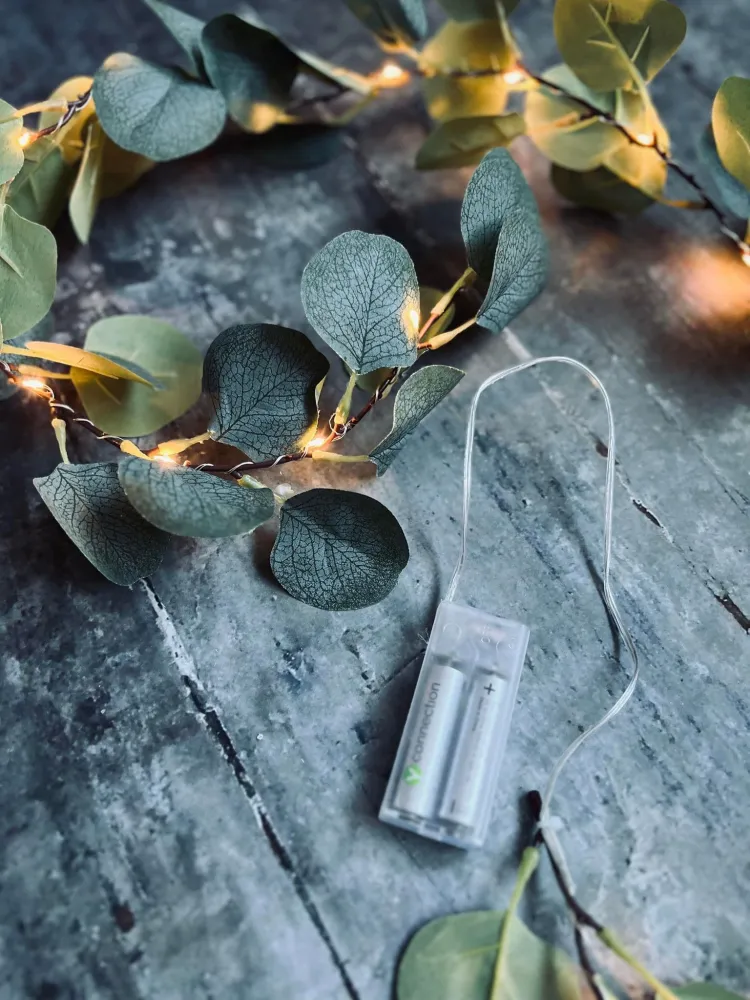 Lyskæde med eucalyptus